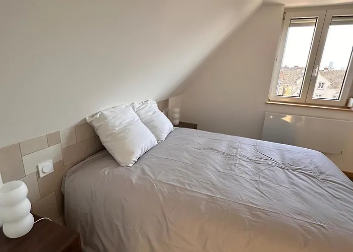 Le 9 De Fer * 科尔马