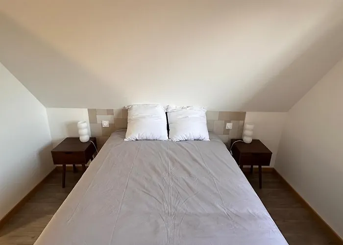 Le 9 De Fer Appartement Colmar